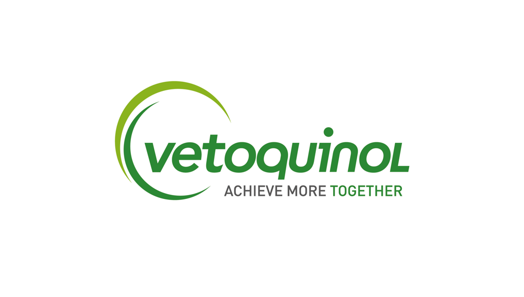 logo7